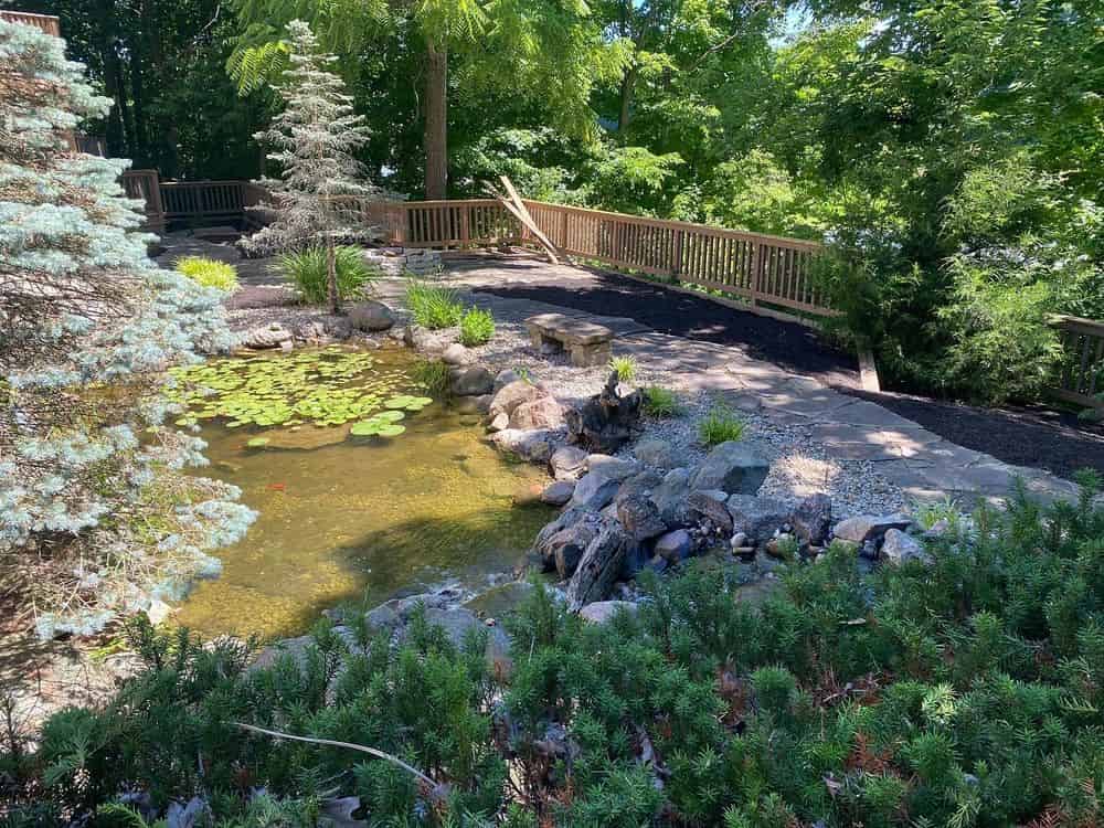 Water Features image