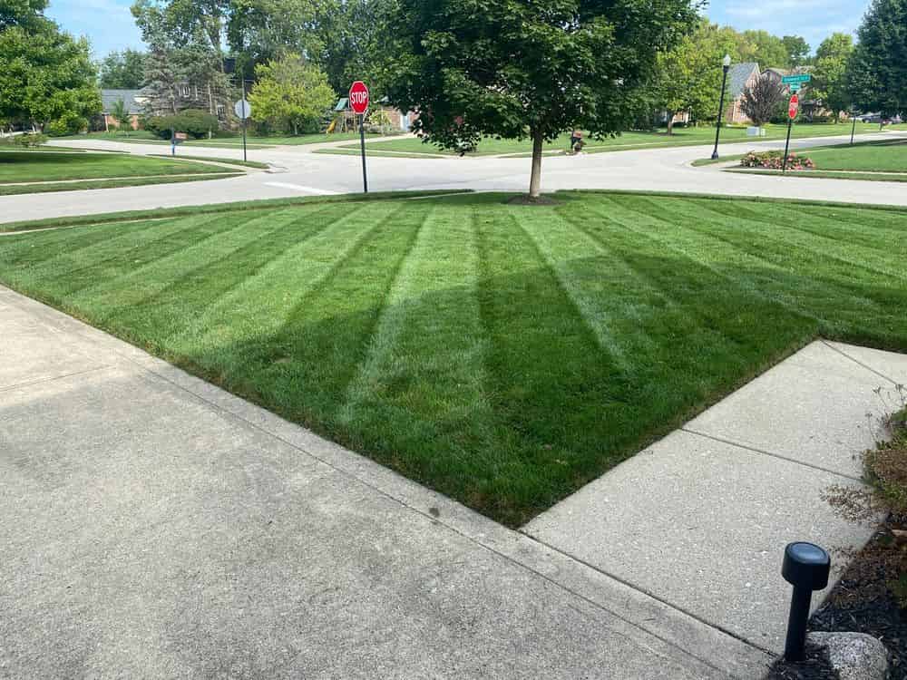 Artificial Turf image