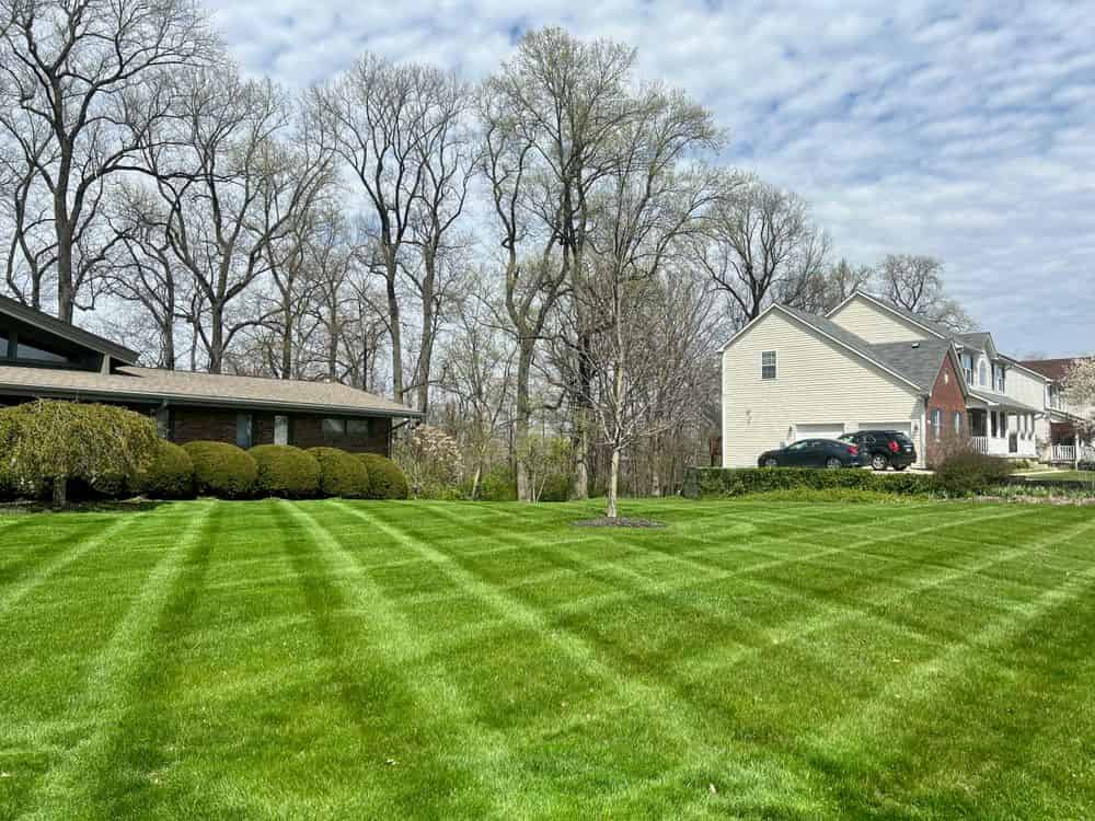 Mowing Services image