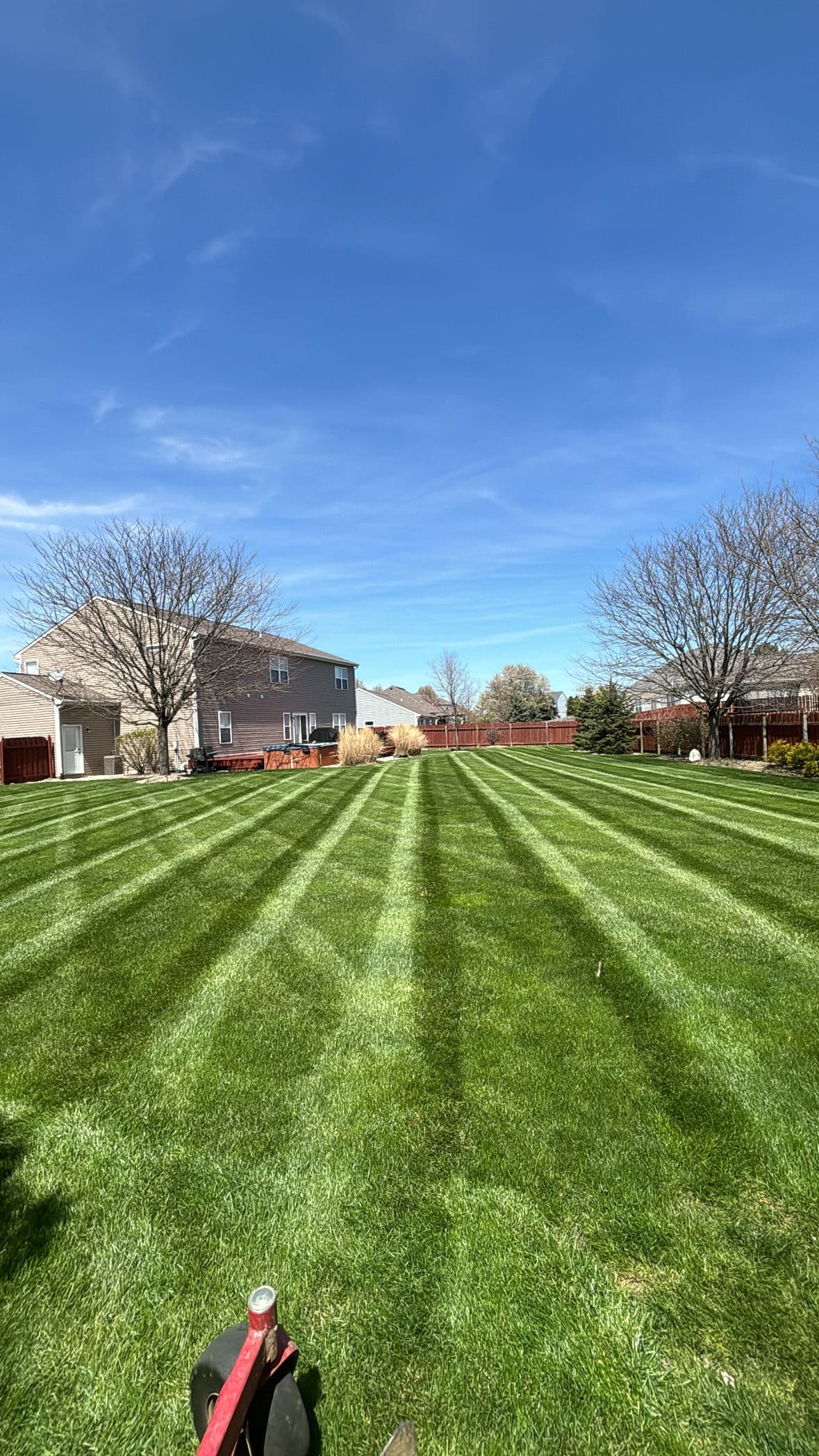 Featured post - Why Your Lawn Still Has Weeds After Fertilization (And What To Do)
