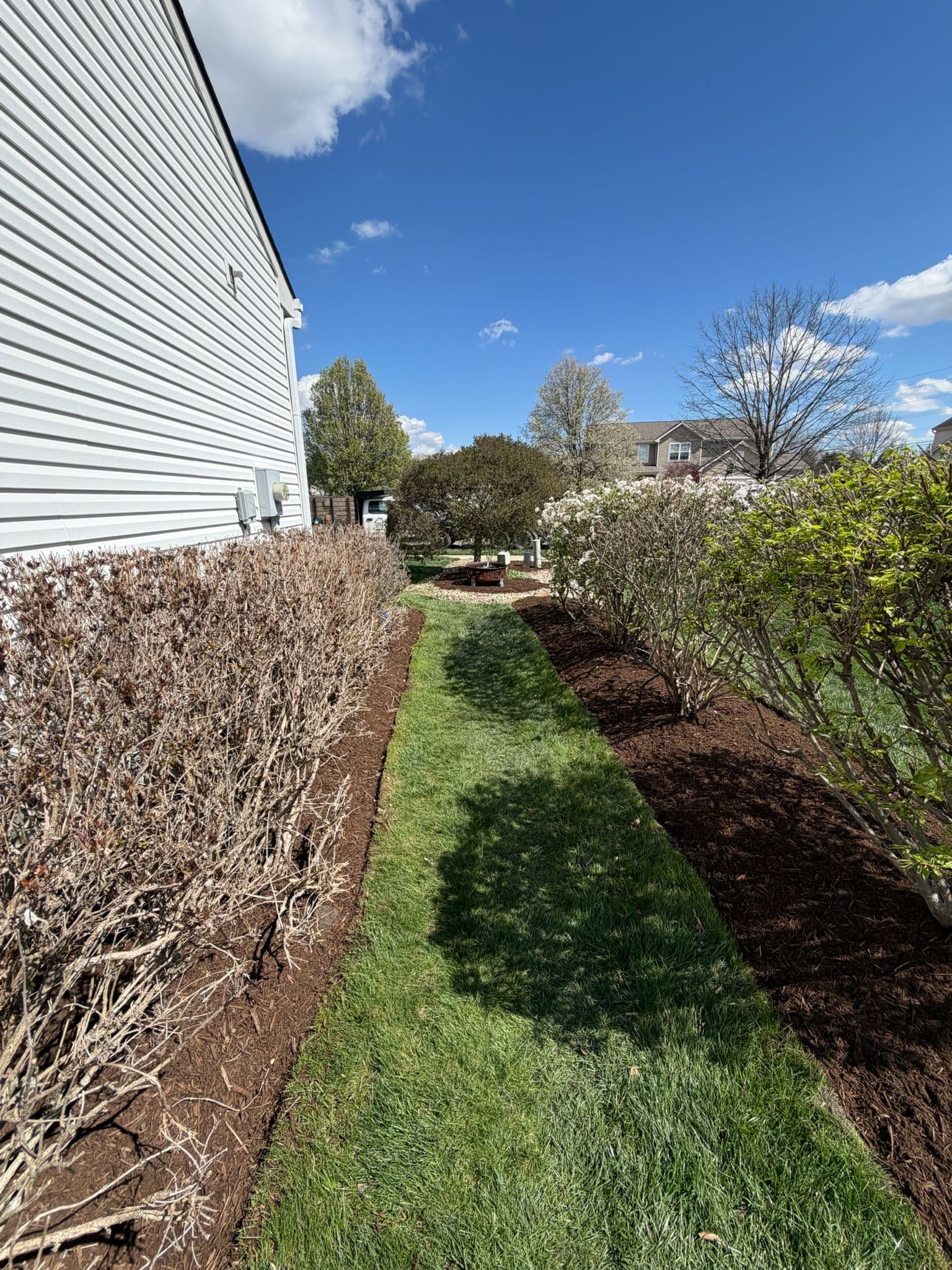 Fresh Mulch and Clean Bed Edging in Fishers Indiana image