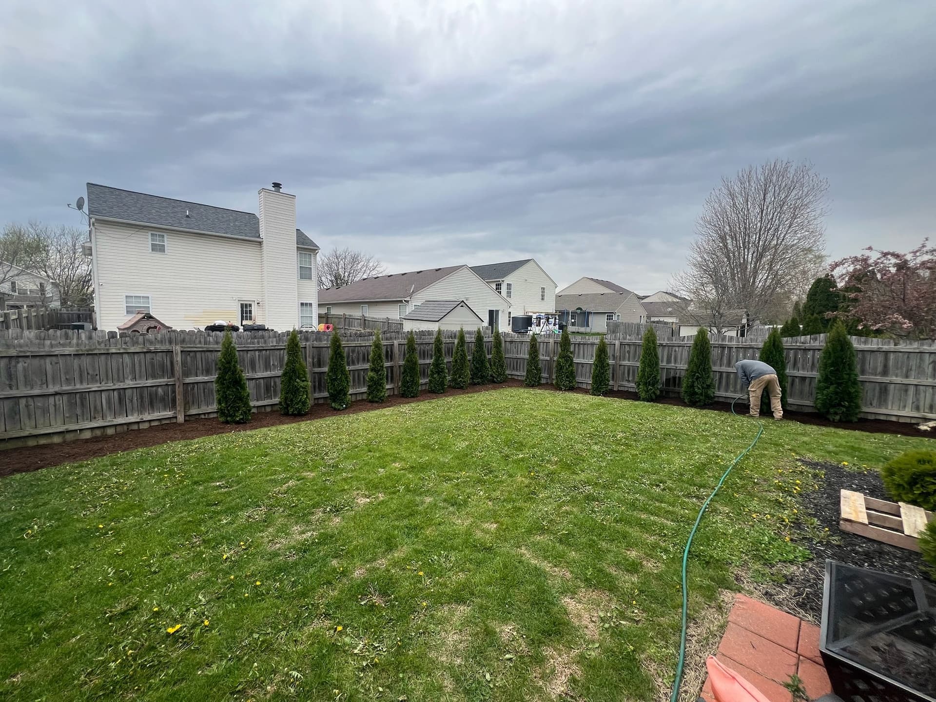 Gallery photos for New Landscape Bed and Arborvitae Row Installed in Noblesville: Image #1