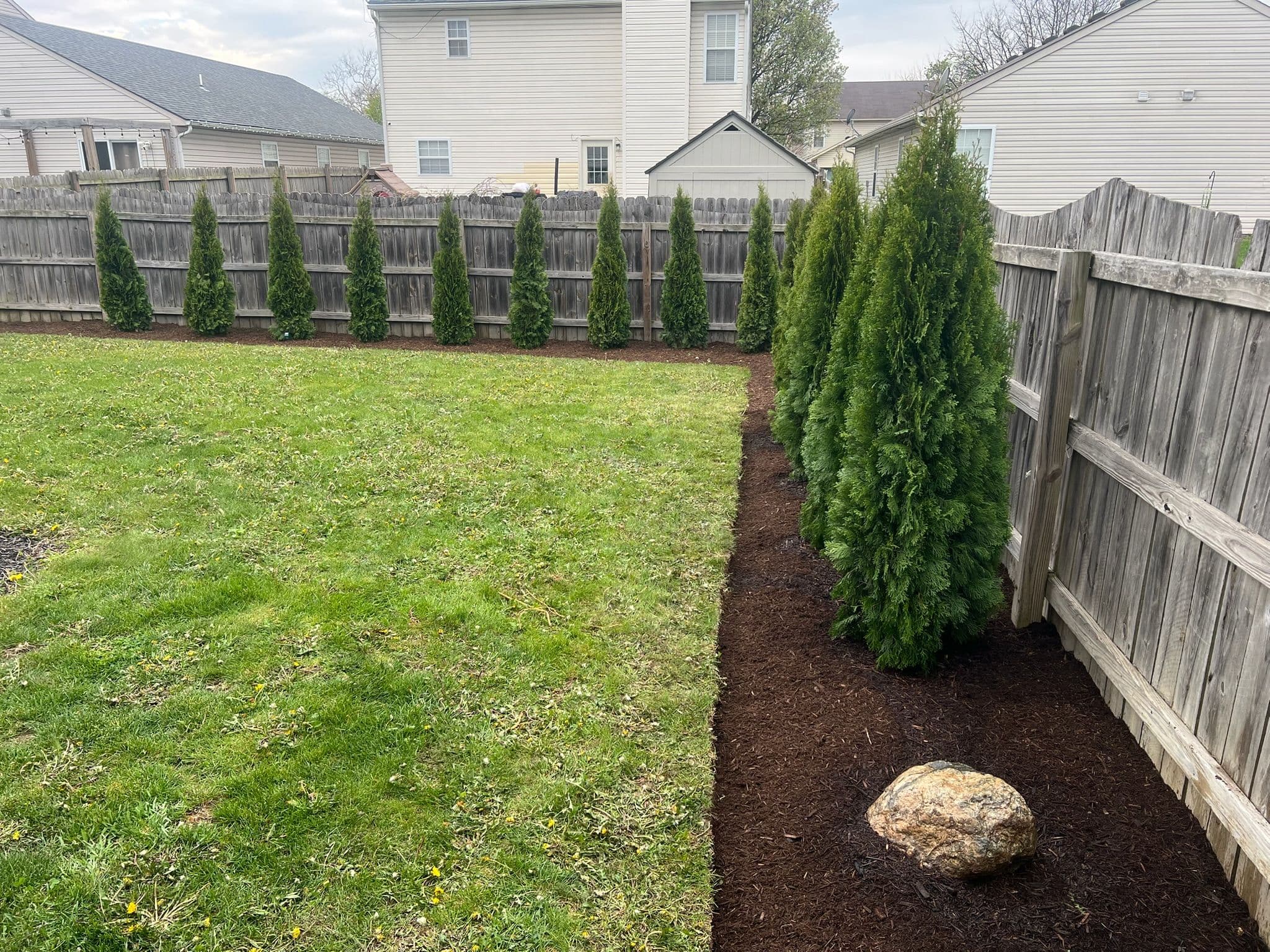 Project New Landscape Bed and Arborvitae Row Installed in Noblesville image