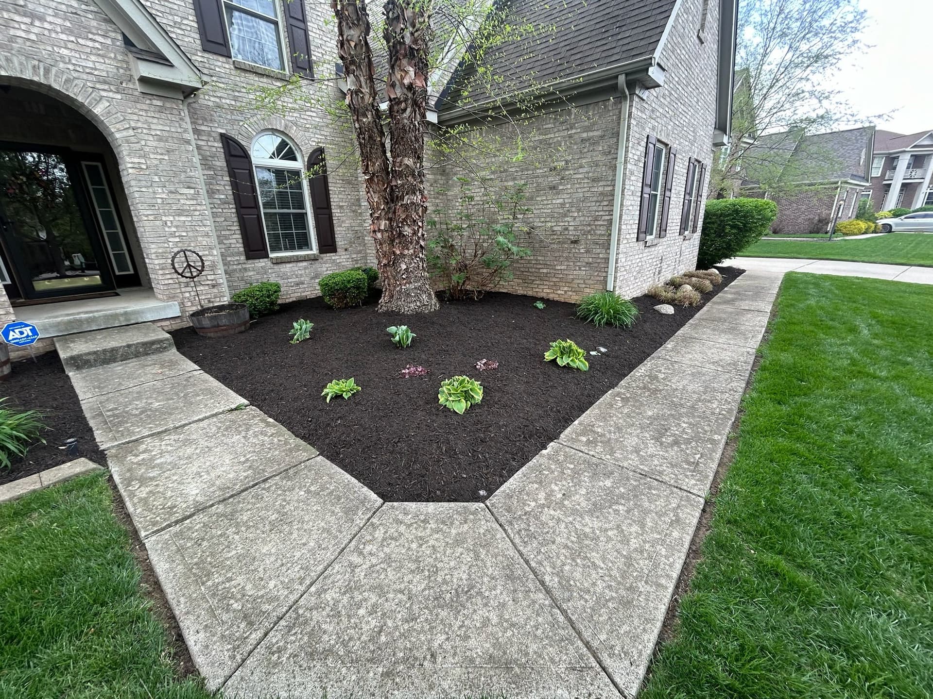 Fresh Plant Installation and Mulch Bed Refresh in Fishers Indiana image