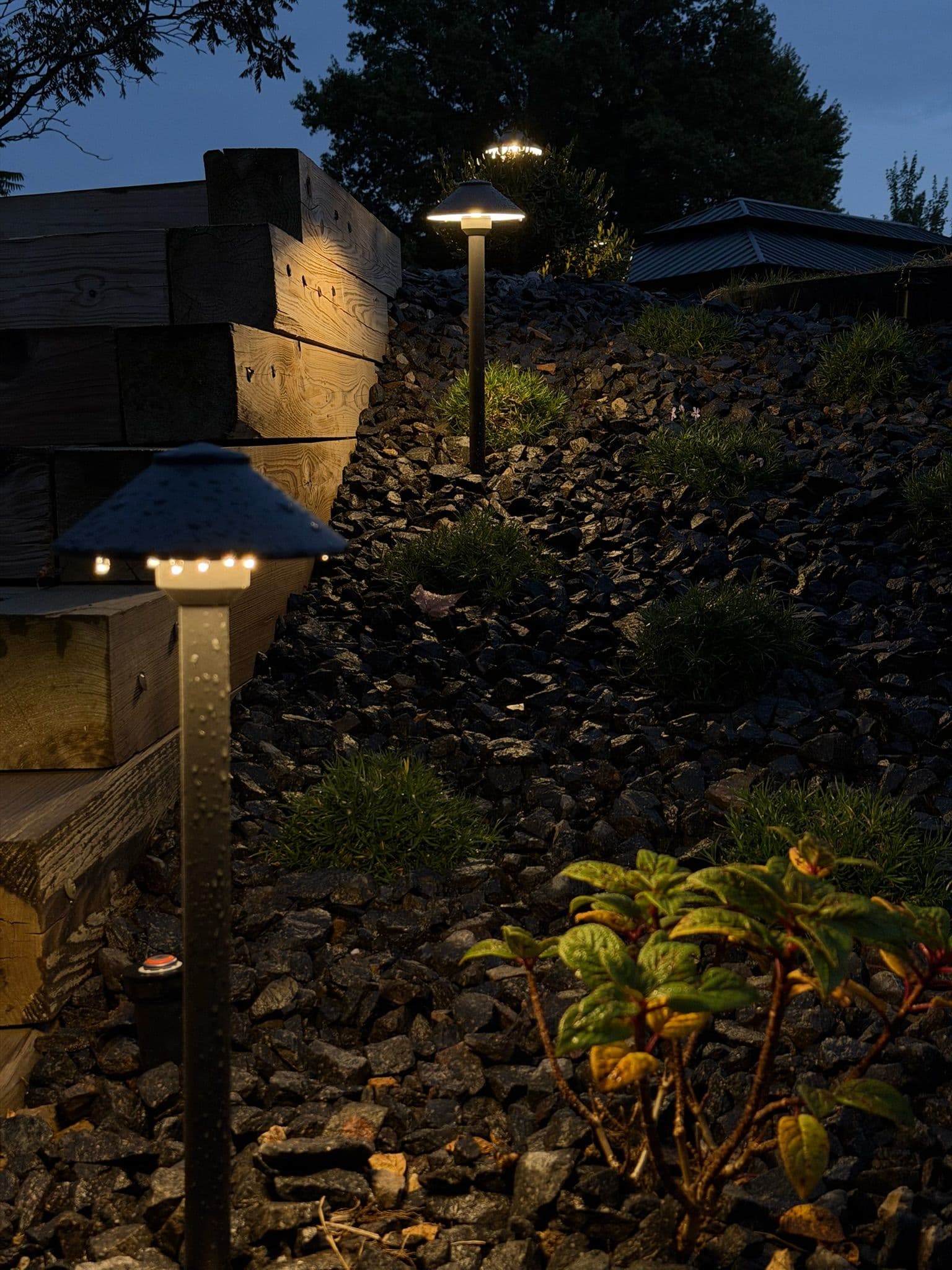 How Landscape Lighting Changes Your Outdoor Space image