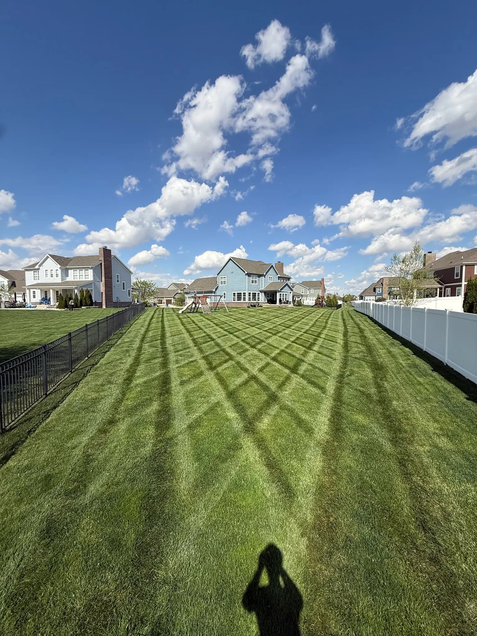 How to Fix a Thin or Patchy Lawn This Fall image