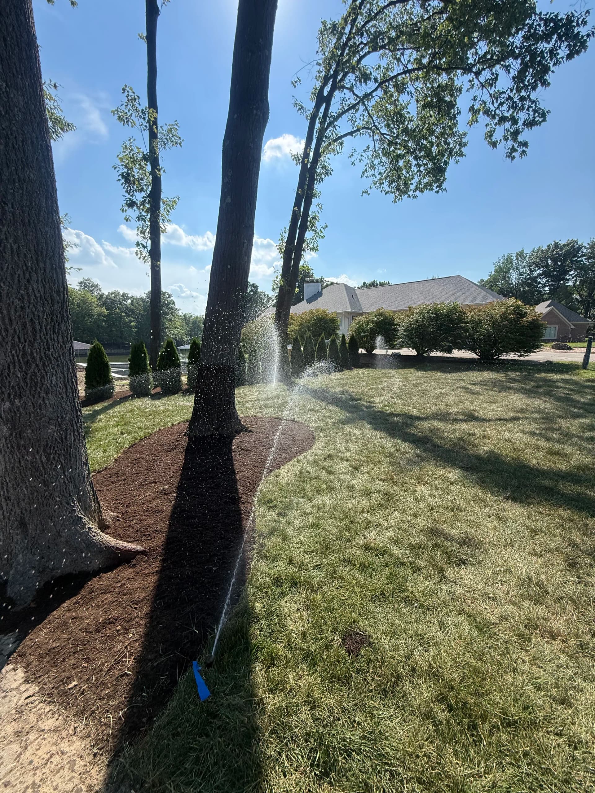 How to Properly Water Your Lawn During Hot Weather image