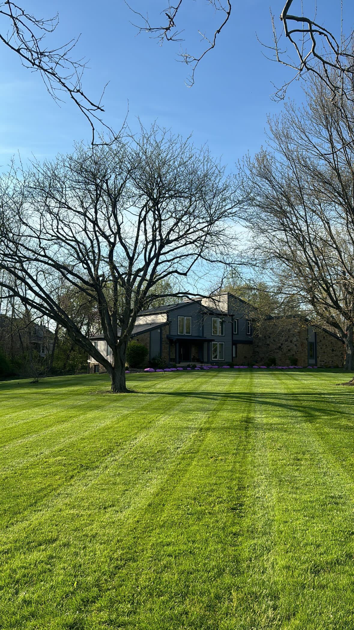 Achieve a Crystal-Clear Lawn Finish With Our Expert Mowing Services
