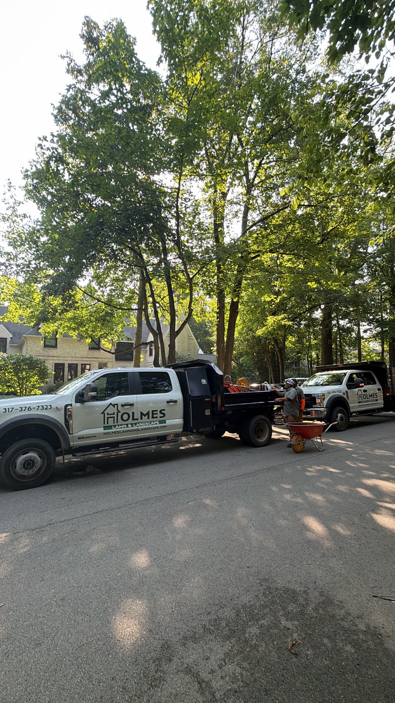 Project The Crew Is Out and a Yard Cleanup Is Underway image