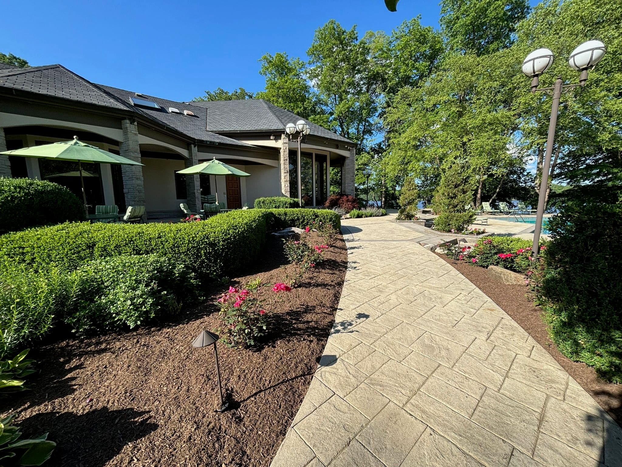 Project Stunning Paver Pathway and Garden in Carmel image
