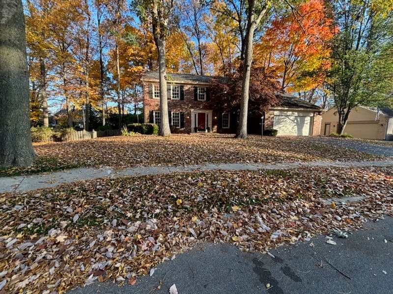 Transform Your Yard This Fall with Expert Cleanups image