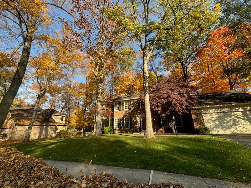 Gallery photos for Transform Your Yard This Fall with Expert Cleanups: Image #1