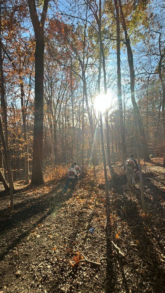 Gallery photos for Holmes Lawn Expert Fall Leaf Cleanup: Image #1