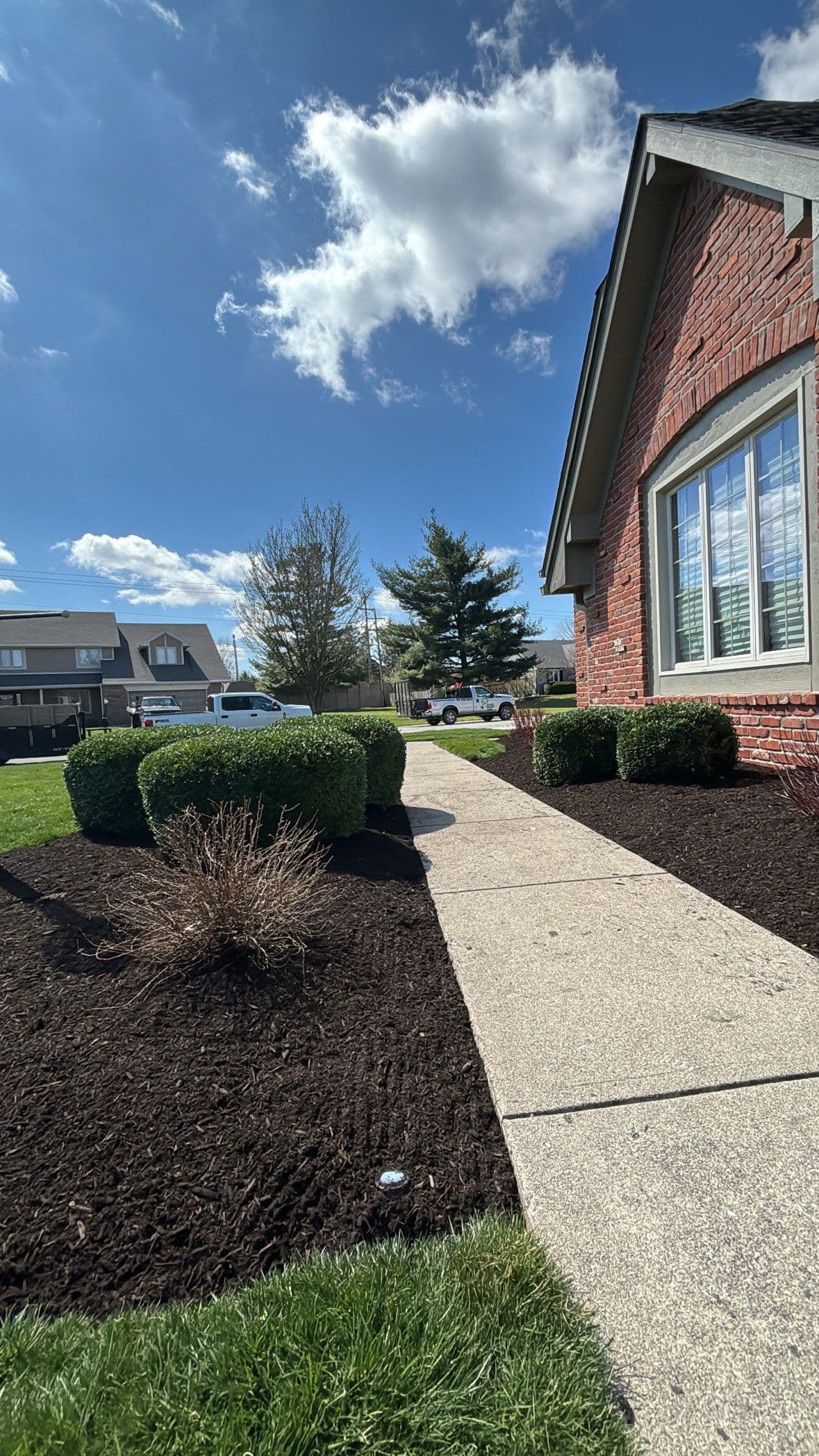 Transform Your Lawn for Fall Beauty image