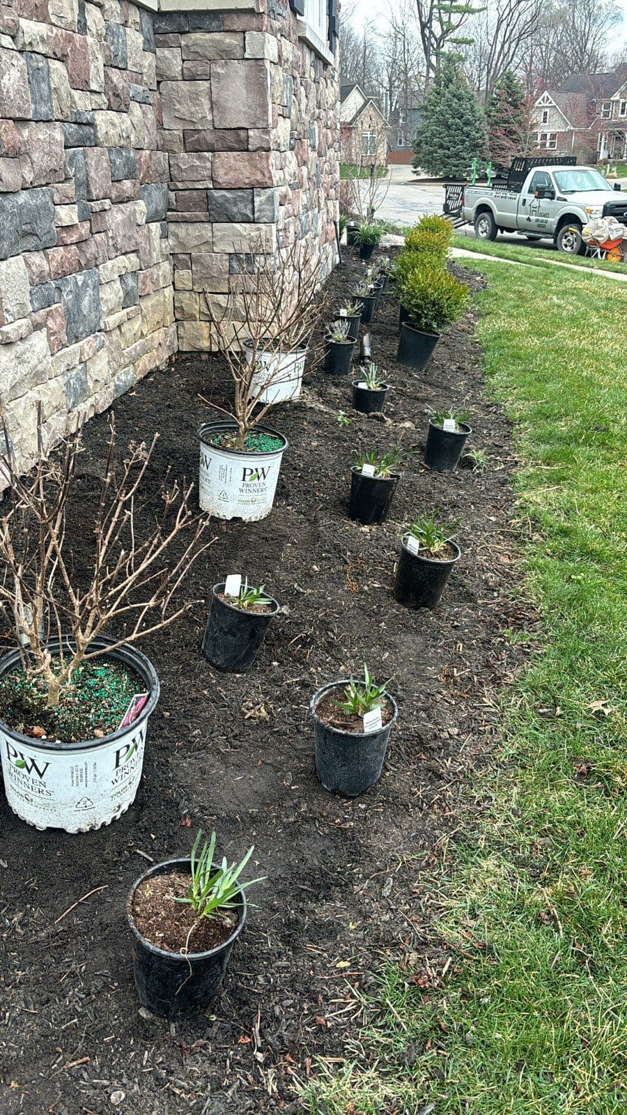 Project Revitalize Your Landscape with Fall Flora image