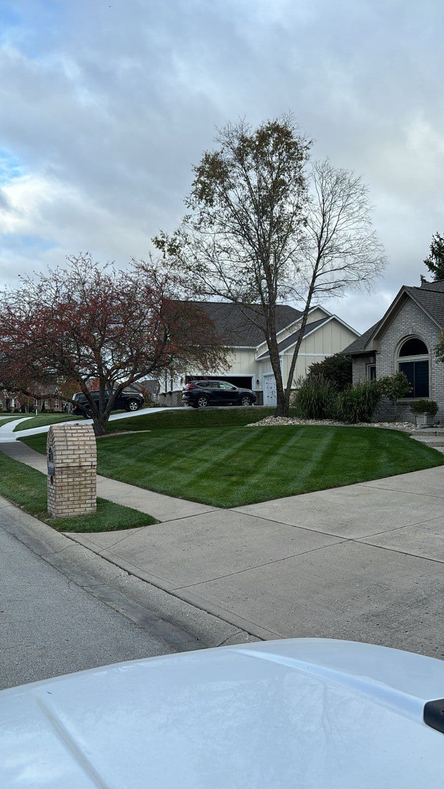 Gallery photos for Impeccable Lawn Transformations with Precision Mowing: Image #1