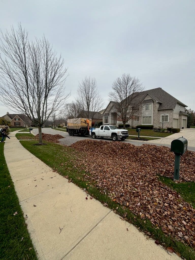 Gallery photos for Fall Clean-Up Expertise Prepares Yards for Autumn: Image #1