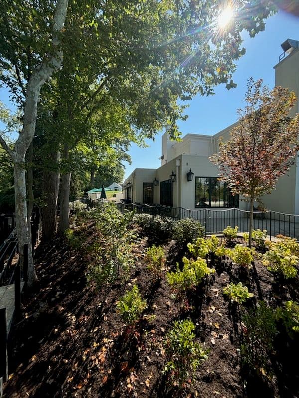 Project Stunning Plant Installation Transformation image
