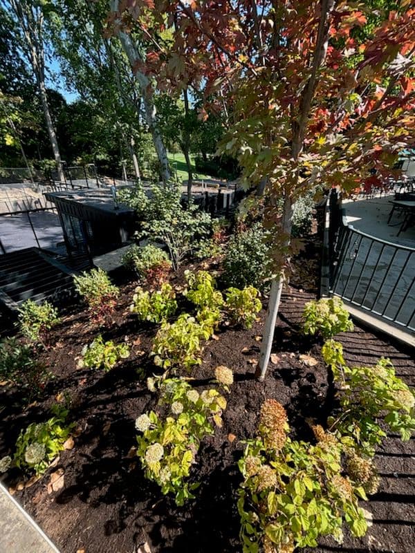 Gallery photos for Stunning Plant Installation Transformation: Image #1