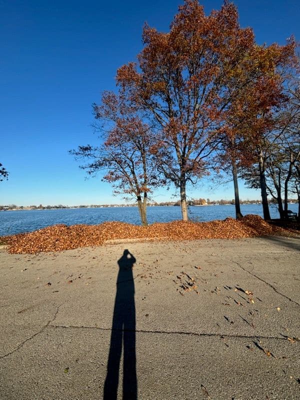 Effortless Fall Cleanups for Your Lawn image