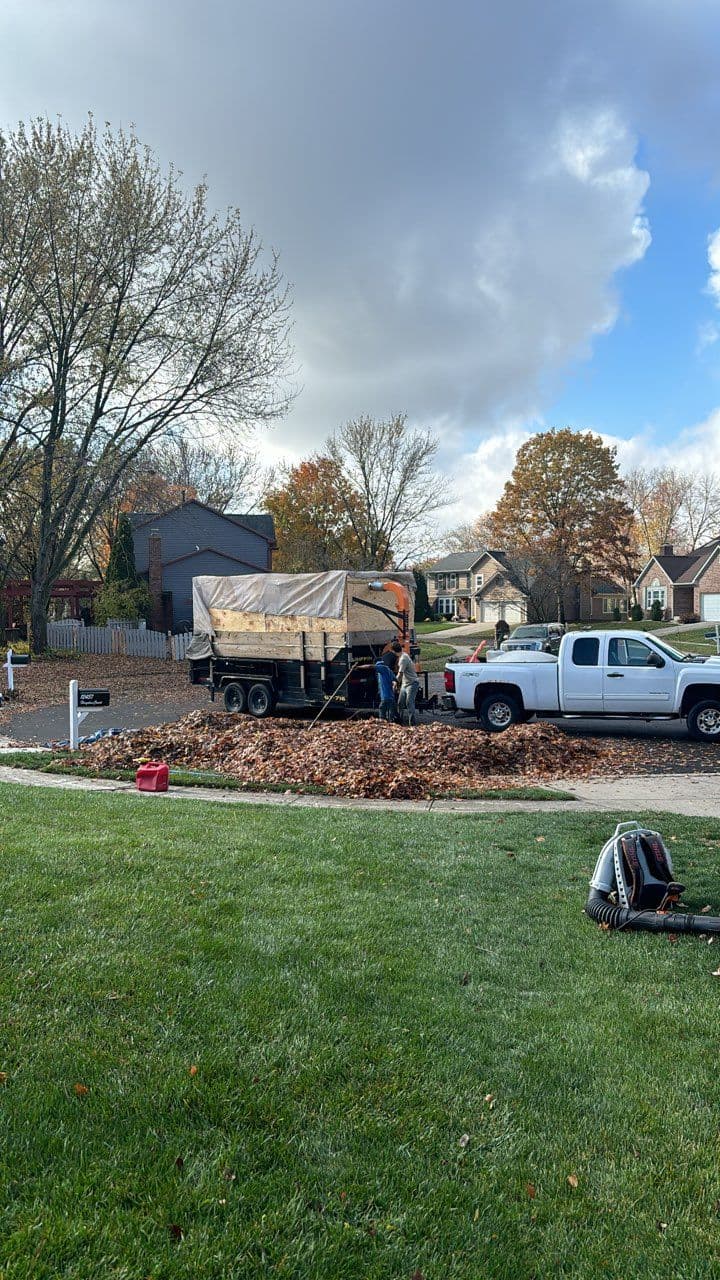Gallery photos for Effortless Fall Cleanups for Your Lawn: Image #1