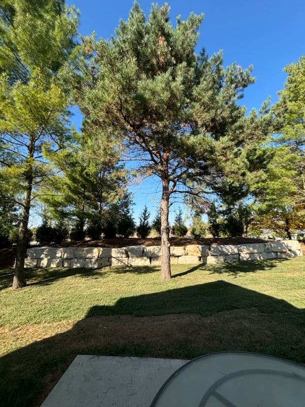 Stylish Rock Wall and Lush Lawn in Noblesville image