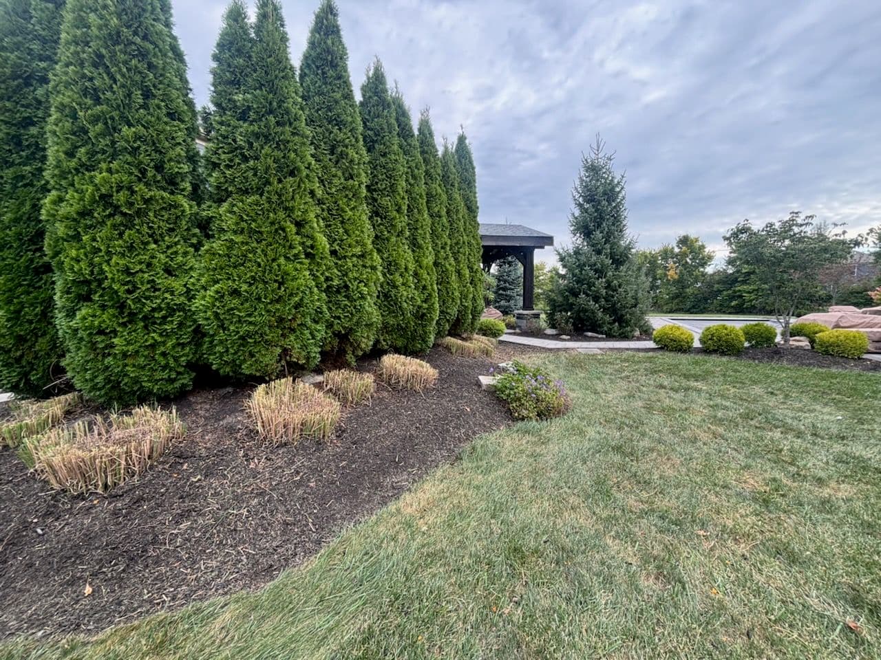 Project Embrace Autumn with Professional Fall Maintenance image