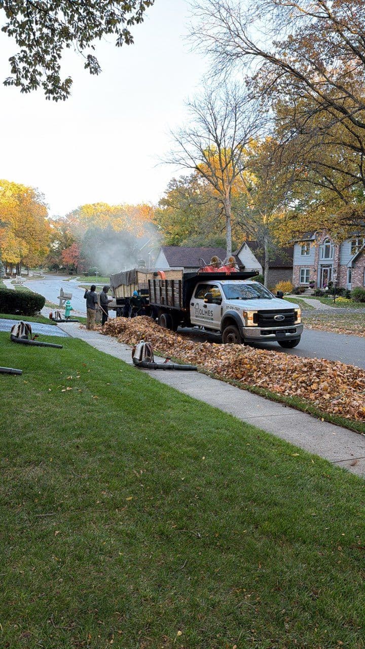 Project Efficient Fall Cleanup for a Leaf-Free Lawn image