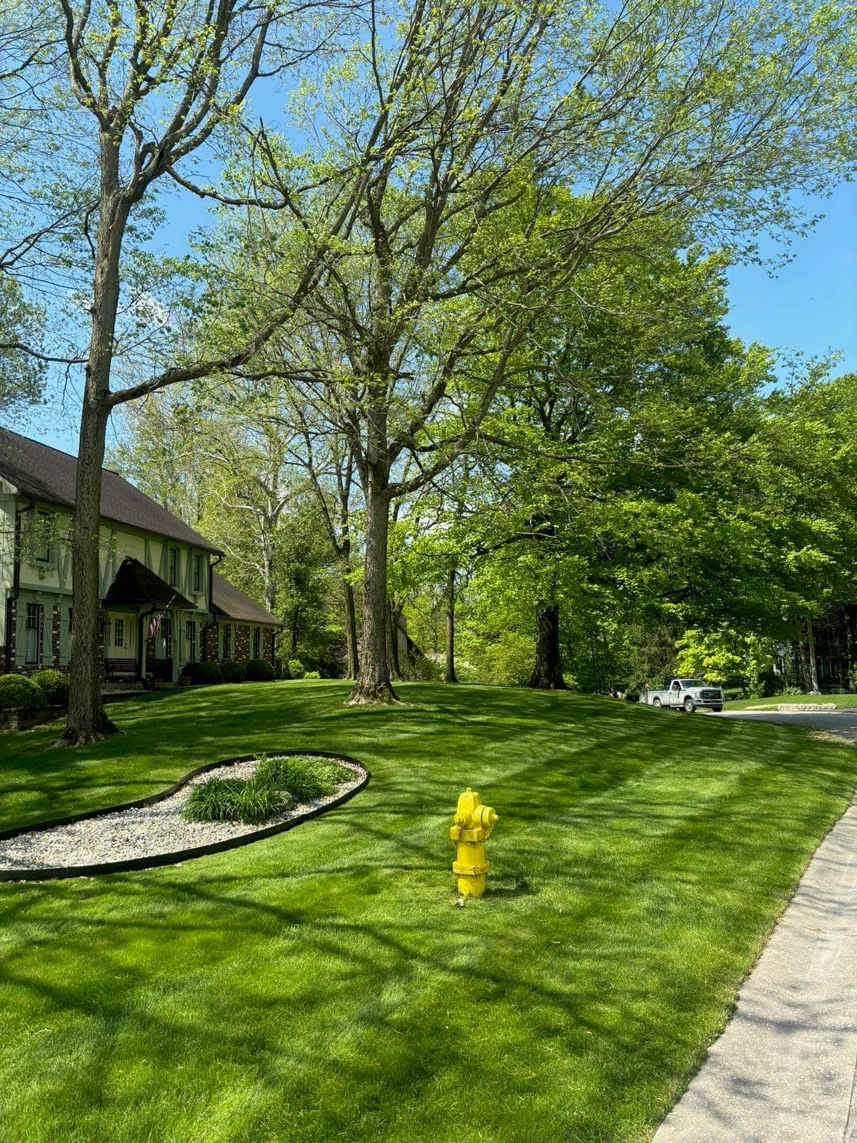 Project Perfect Mow Lines in Noblesville image