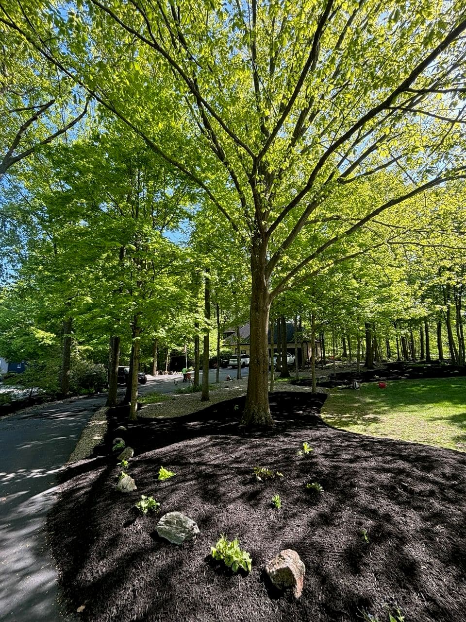 Project Spring Cleanups Booking Now - Holmes Lawn and Landscape image