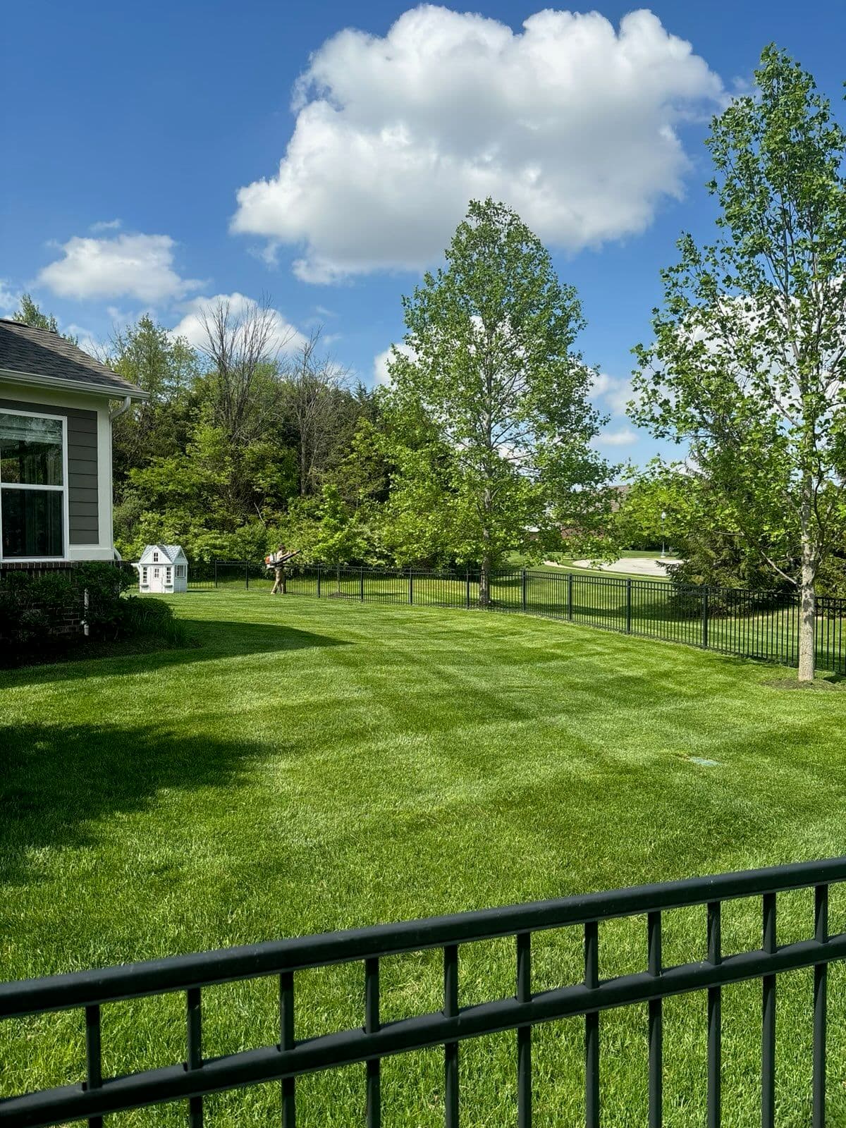 Project Get Ahead with Holmes Lawn and Landscape Mowing Schedule image