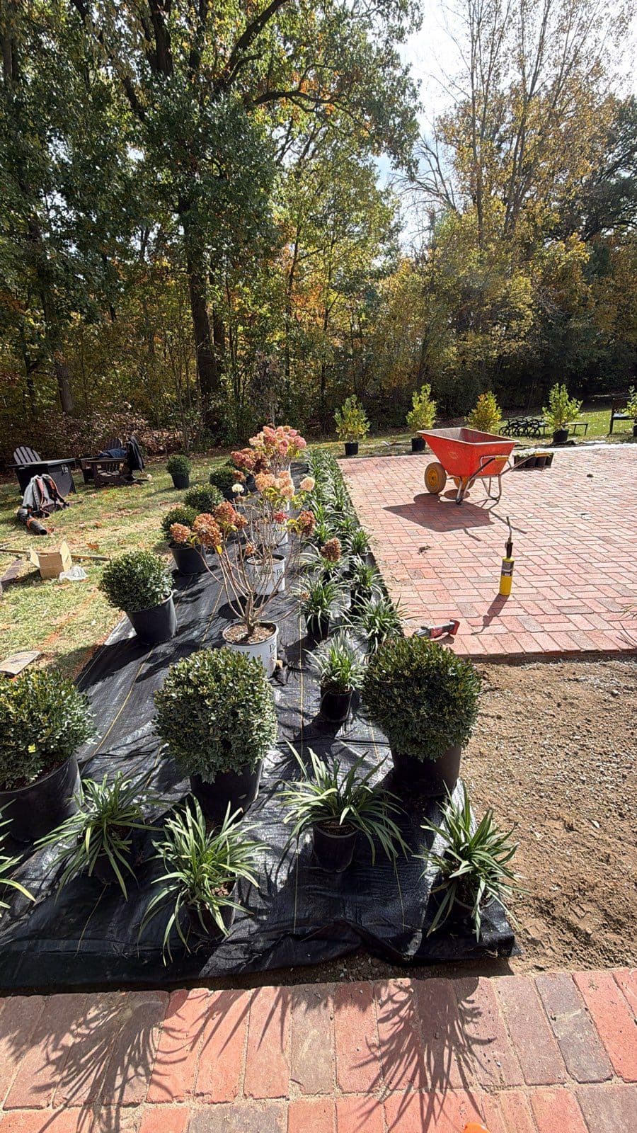 Project Stunning Landscape Installation in Carmel image