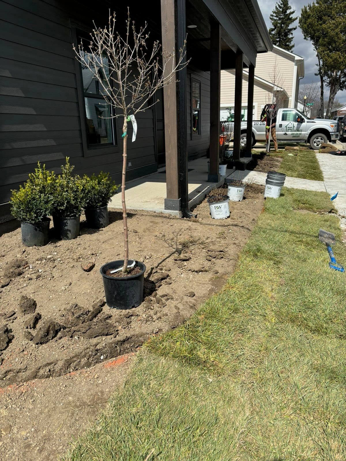 Project Bringing Outdoor Spaces to Life in Westfield image