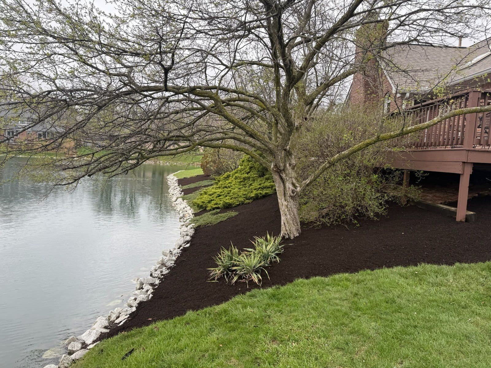 Project Lakeside Yard Beautification in Noblesville image