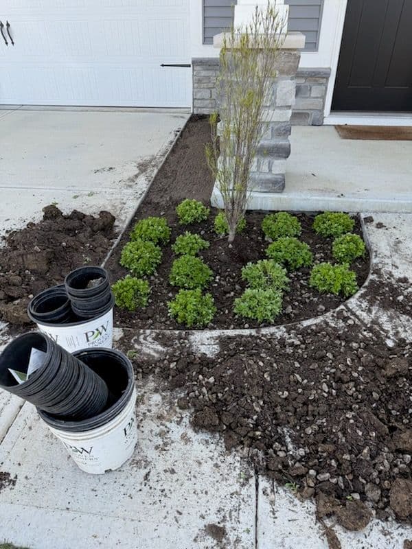 Project Fresh Garden Makeover in Cicero image