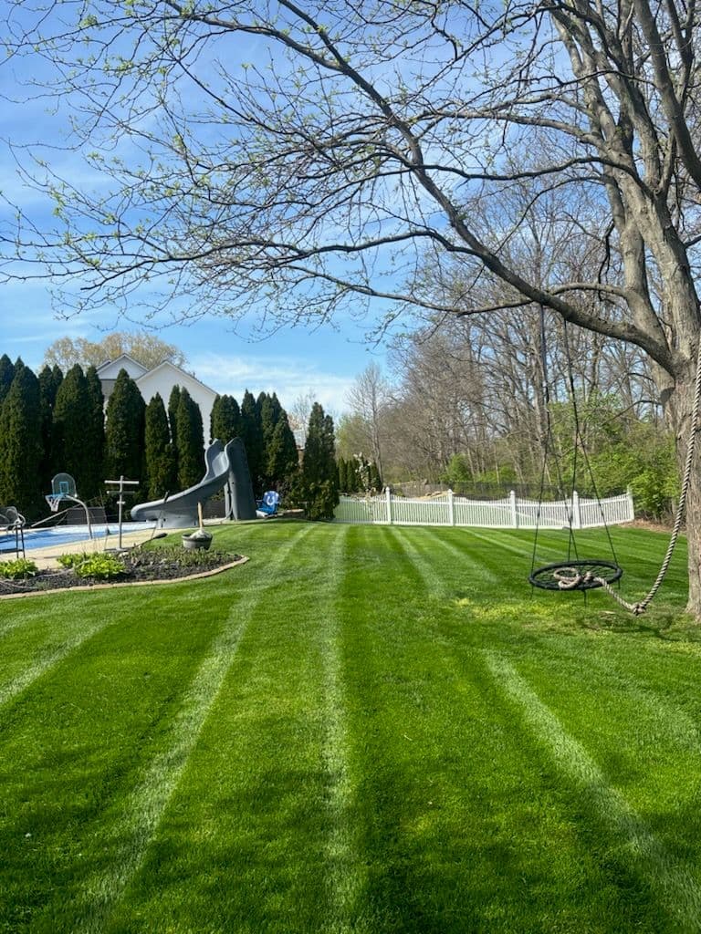 Revitalize Your Lawn with Our Spring Cleanup image