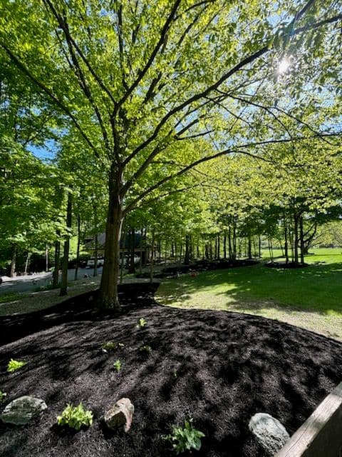 Project Cicero Landscaping Mulch Transformation Magic image