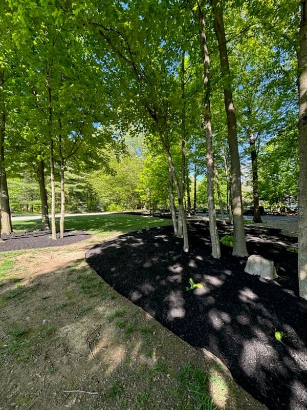 Gallery photos for Cicero Landscaping Mulch Transformation Magic: Image #1