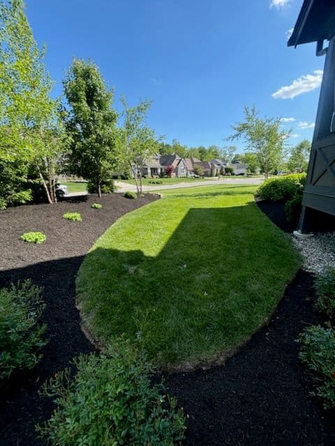Stunning Landscape Revamp in Fishers with Lush Plantings image