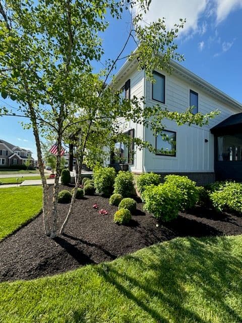 Gallery photos for Stunning Landscape Revamp in Fishers with Lush Plantings: Image #2