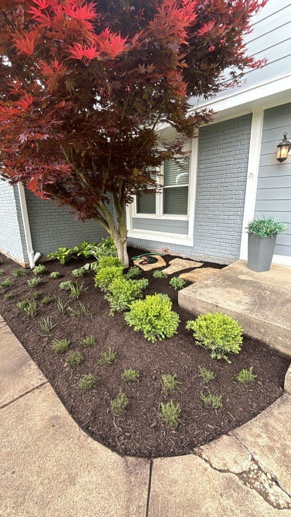 Cicero Home Garden Transformation with Lush Plantings image