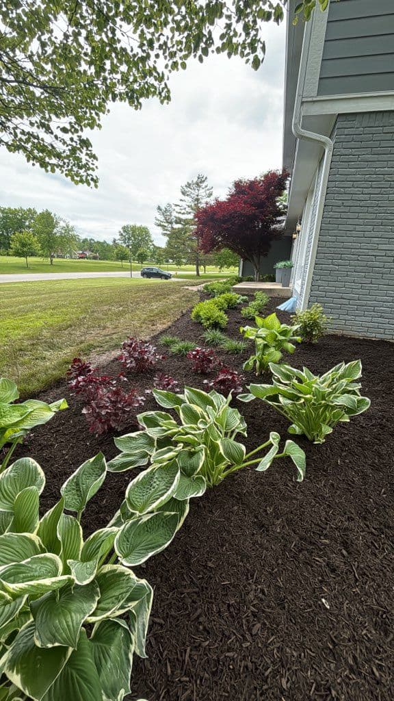 Gallery photos for Cicero Home Garden Transformation with Lush Plantings: Image #1