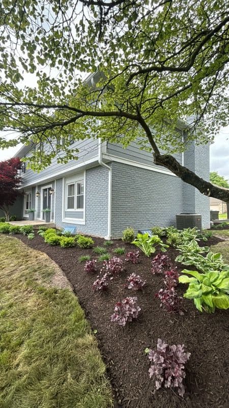 Gallery photos for Cicero Home Garden Transformation with Lush Plantings: Image #2