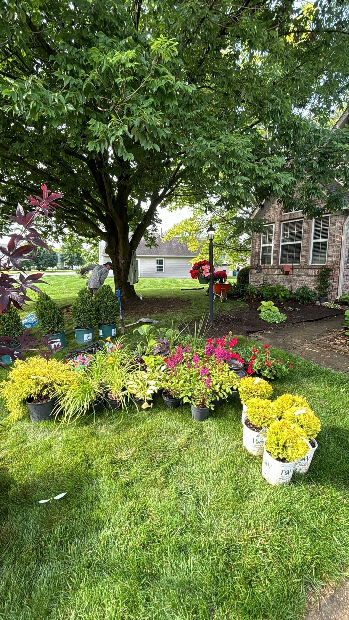 Lush Garden Transformation in Fishers Indiana image