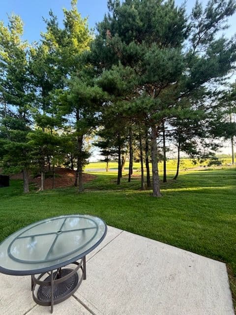 Enhance Privacy with Green Giant Arborvitae image