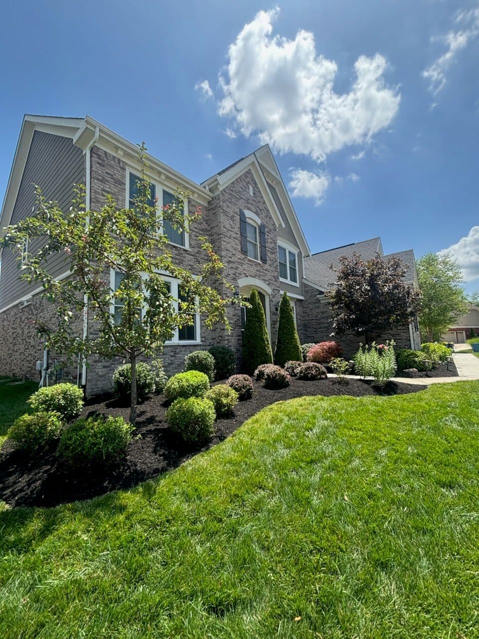 Enhance Curb Appeal with Expert Summer Lawn Care image