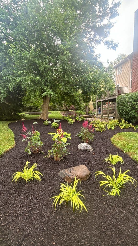 Backyard Transformation with Lush Plant Design image