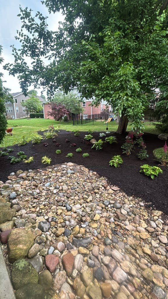 Gallery photos for Backyard Transformation with Lush Plant Design: Image #1