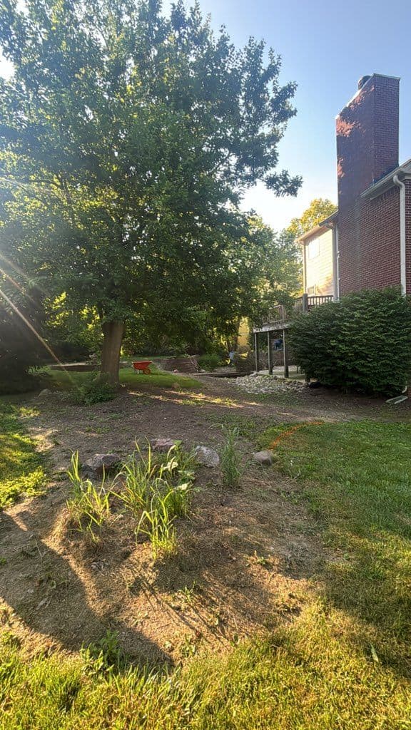 Gallery photos for Backyard Transformation with Lush Plant Design: Image #2
