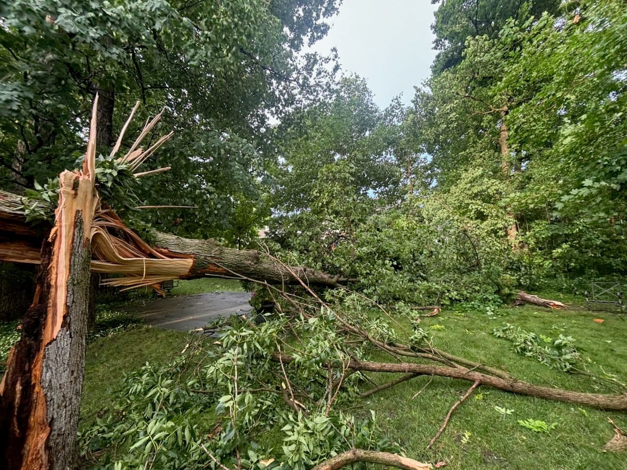 Efficient Storm Damage Cleanup with Precision image